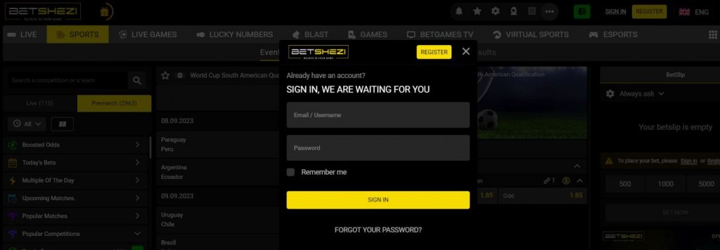 Resetting your Betshezi password